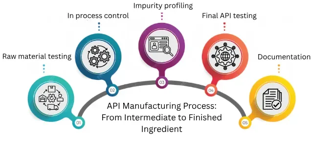 api manufacturing process from intermediate to finished ingredient