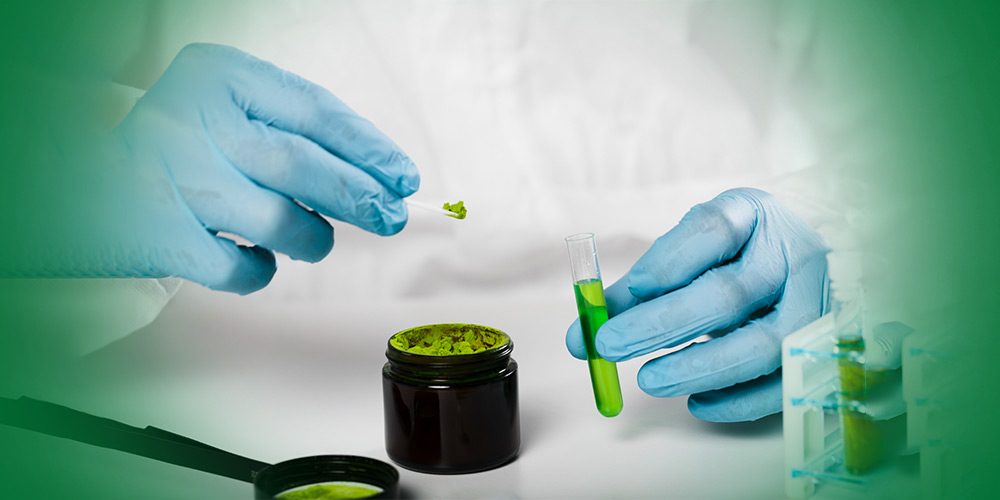 how green apis are becoming pharmas top priority